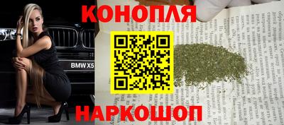 гашик Кандалакша