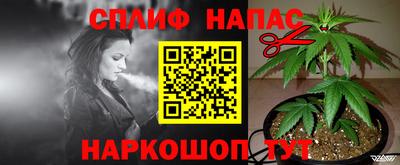 гашик Кандалакша