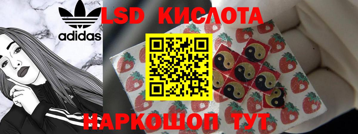 LSD-25 экстази кислота  Курчалой 