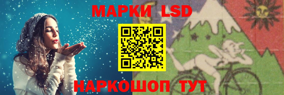 Курчалой  Лсд 25 экстази  Вход с VPN  ЛСД экстази ecstasy  Лсд 25 экстази кислота 