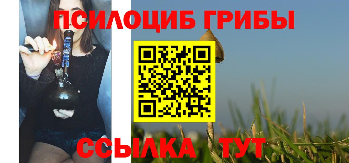 Галлюциногенные грибы мицелий Курчалой