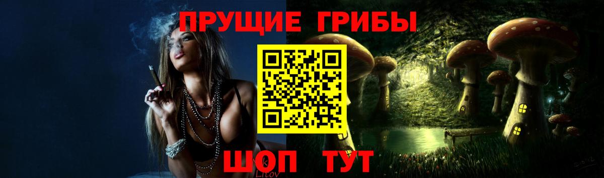 Галлюциногенные грибы ЛСД  Вход с VPN  продажа наркотиков  Курчалой 